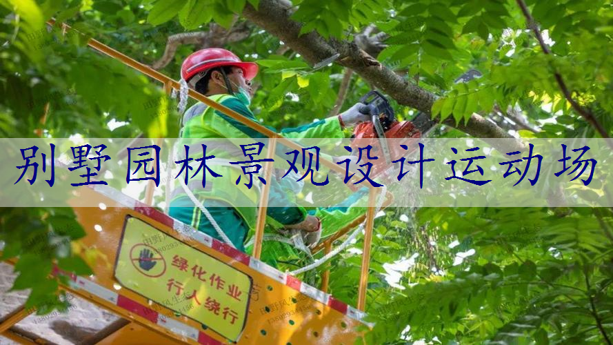 别墅园林景观设计运动场