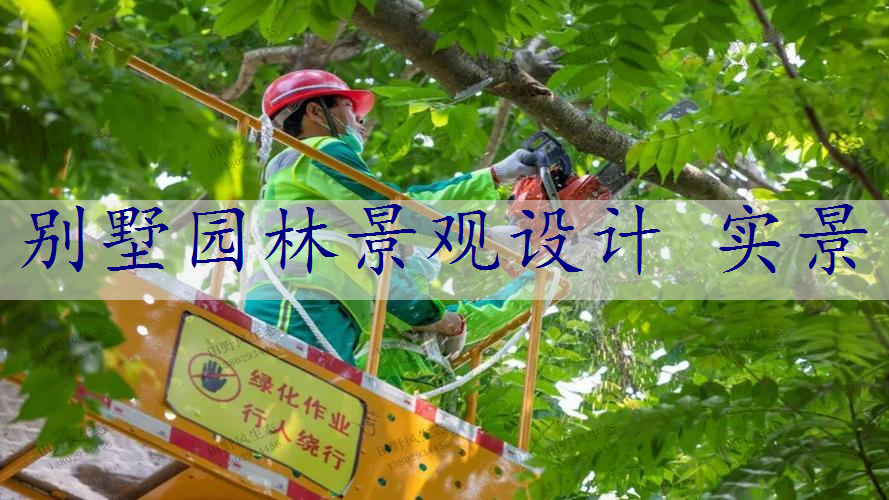 别墅园林景观设计 实景