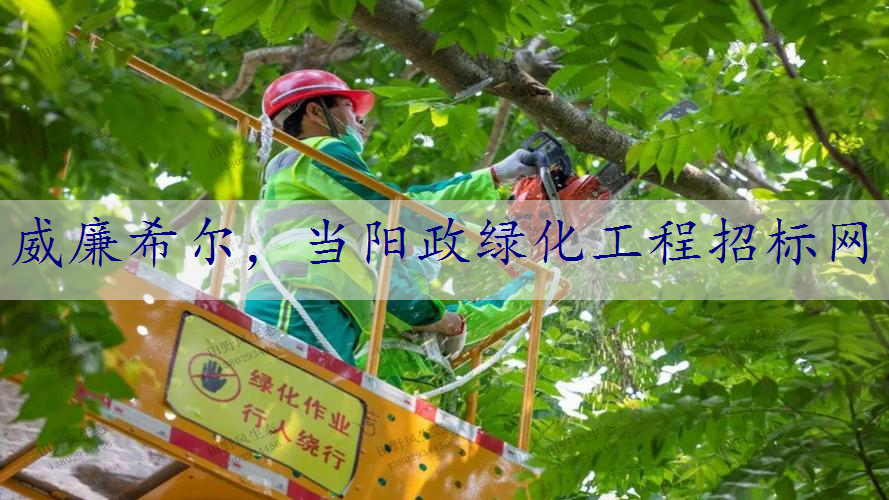 当阳政绿化工程招标网