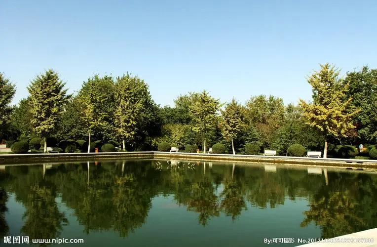 松原城市绿化带种植什么植物比较好