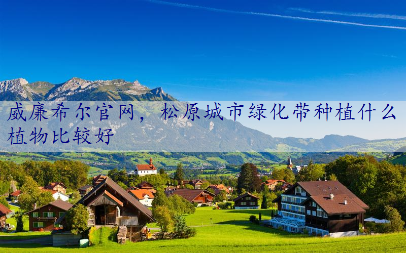 松原城市绿化带种植什么植物比较好
