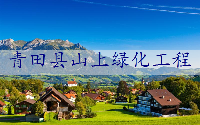 青田县山上绿化工程