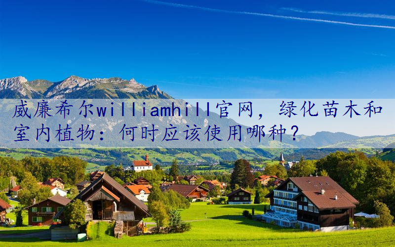 绿化苗木和室内植物：何时应该使用哪种？