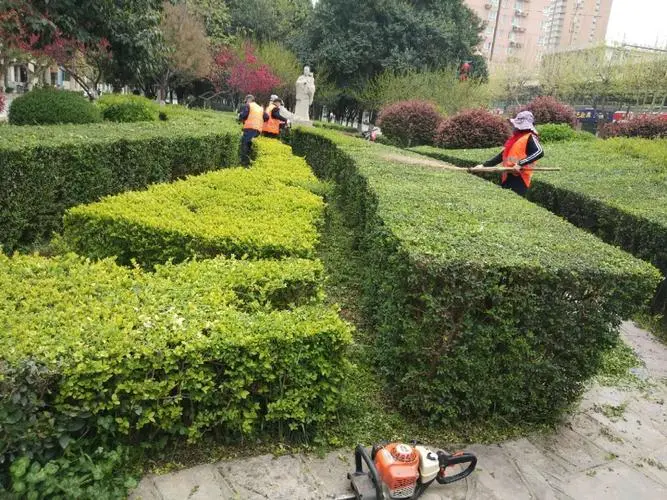 园林管理部门面试技巧：如何在短时间内了解应聘者的专业知识？