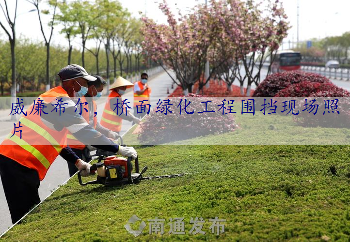 桥面绿化工程围挡现场照片