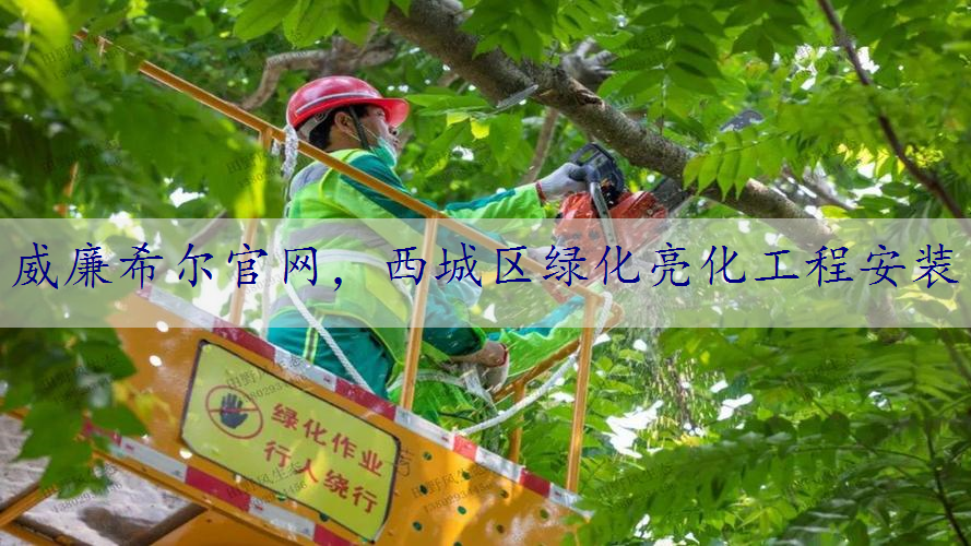 西城区绿化亮化工程安装
